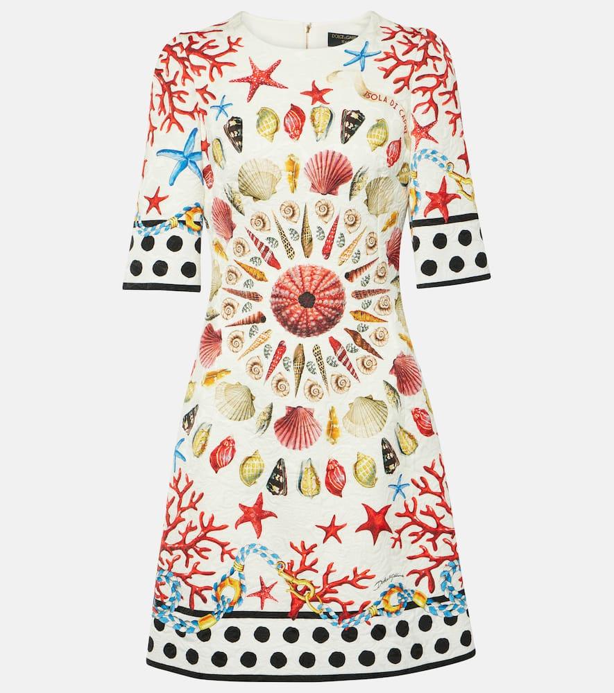 dolce & gabbana capri printed minidress