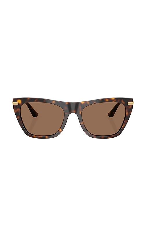 dolce & gabbana cat eye sunglasses in brown.