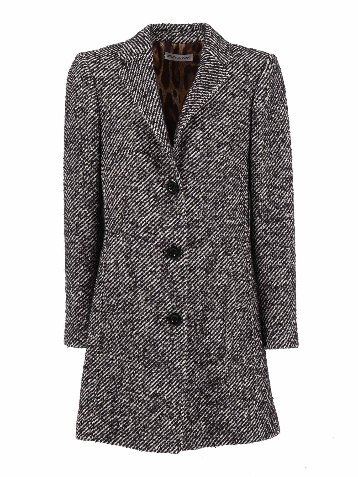dolce & gabbana coat