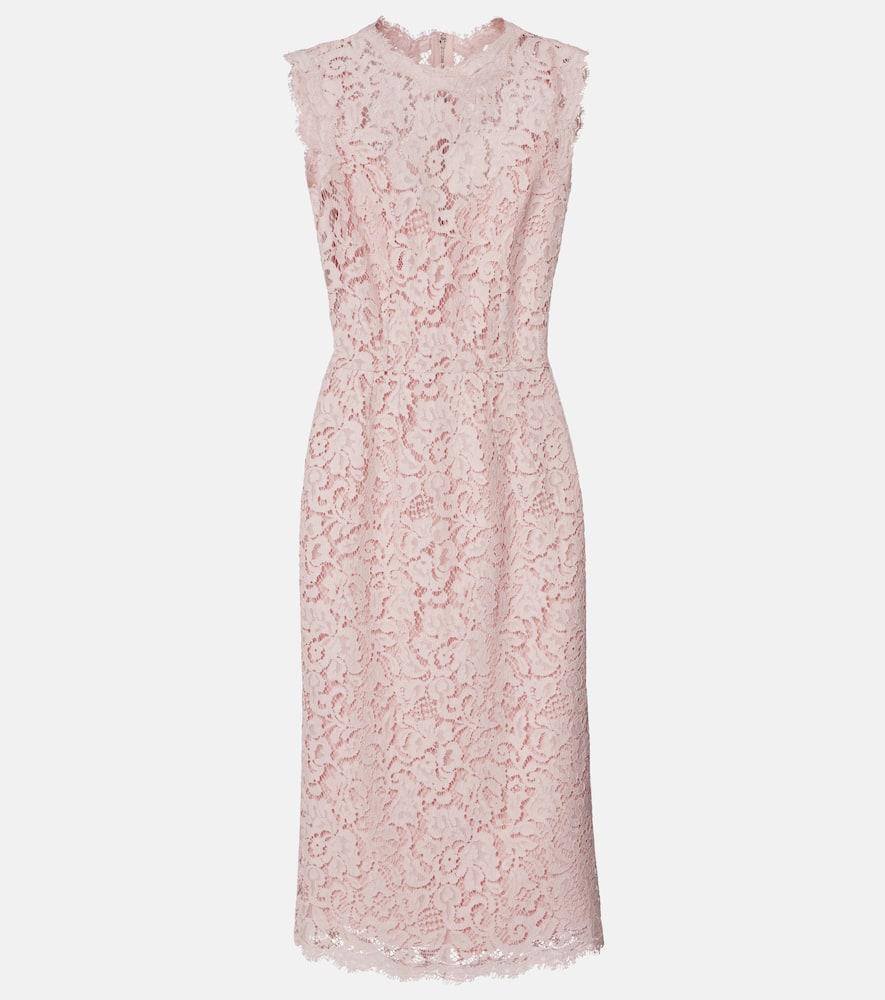 dolce & gabbana cotton