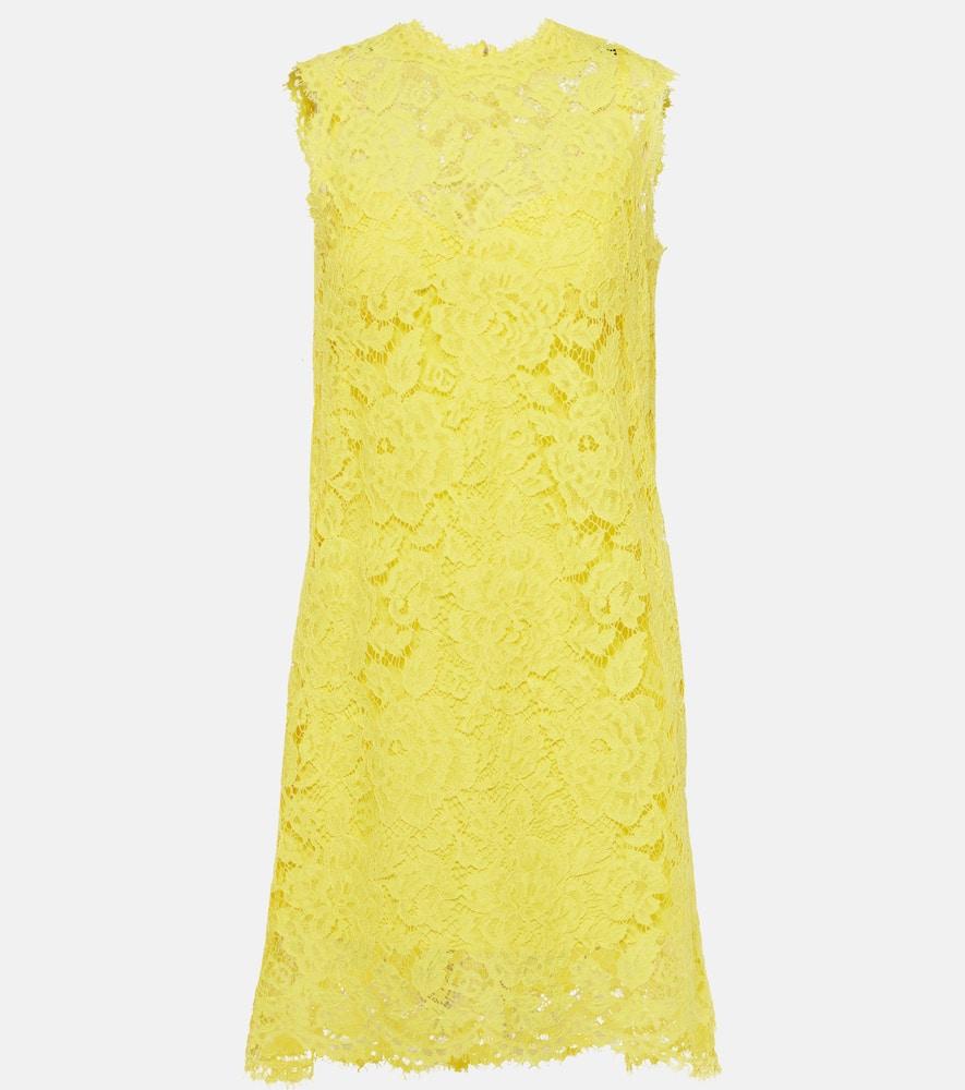 dolce & gabbana cotton