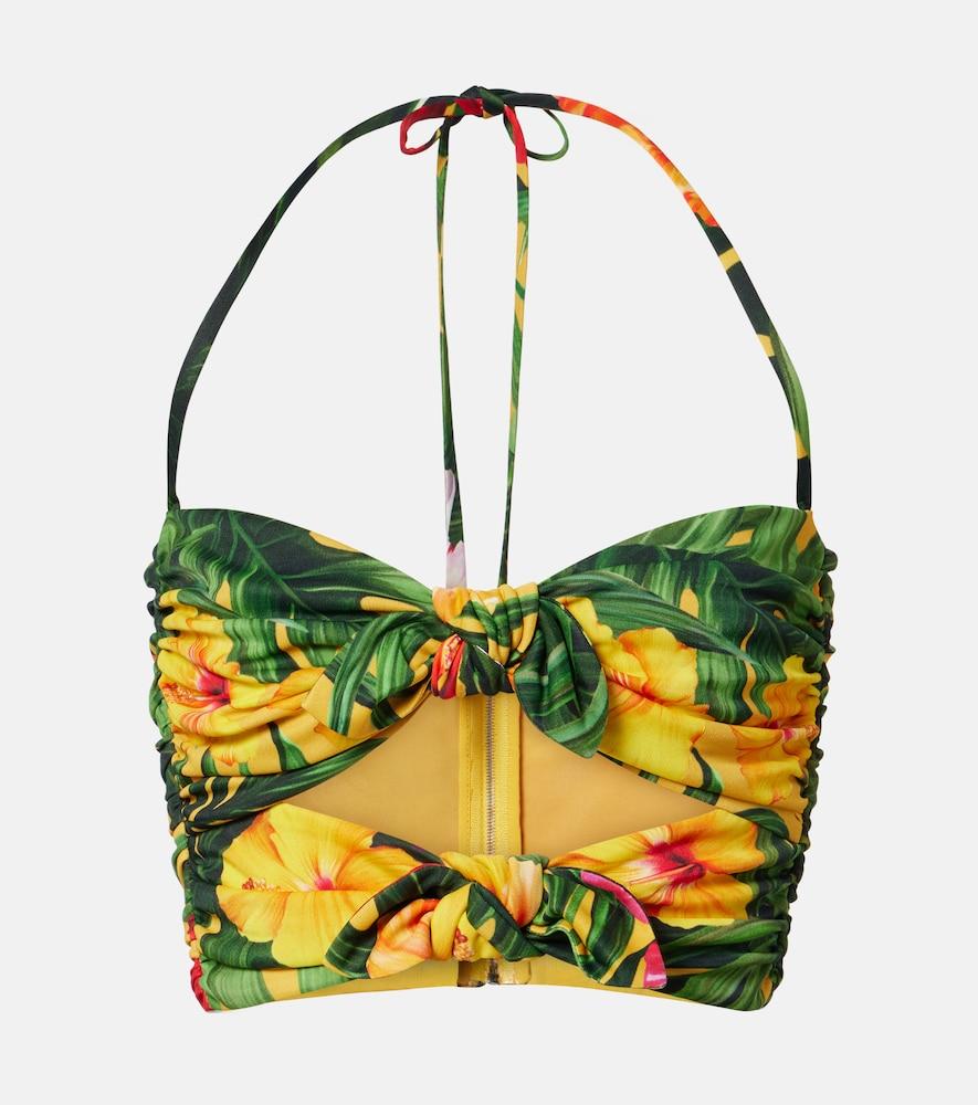 dolce & gabbana cutout floral halterneck crop top