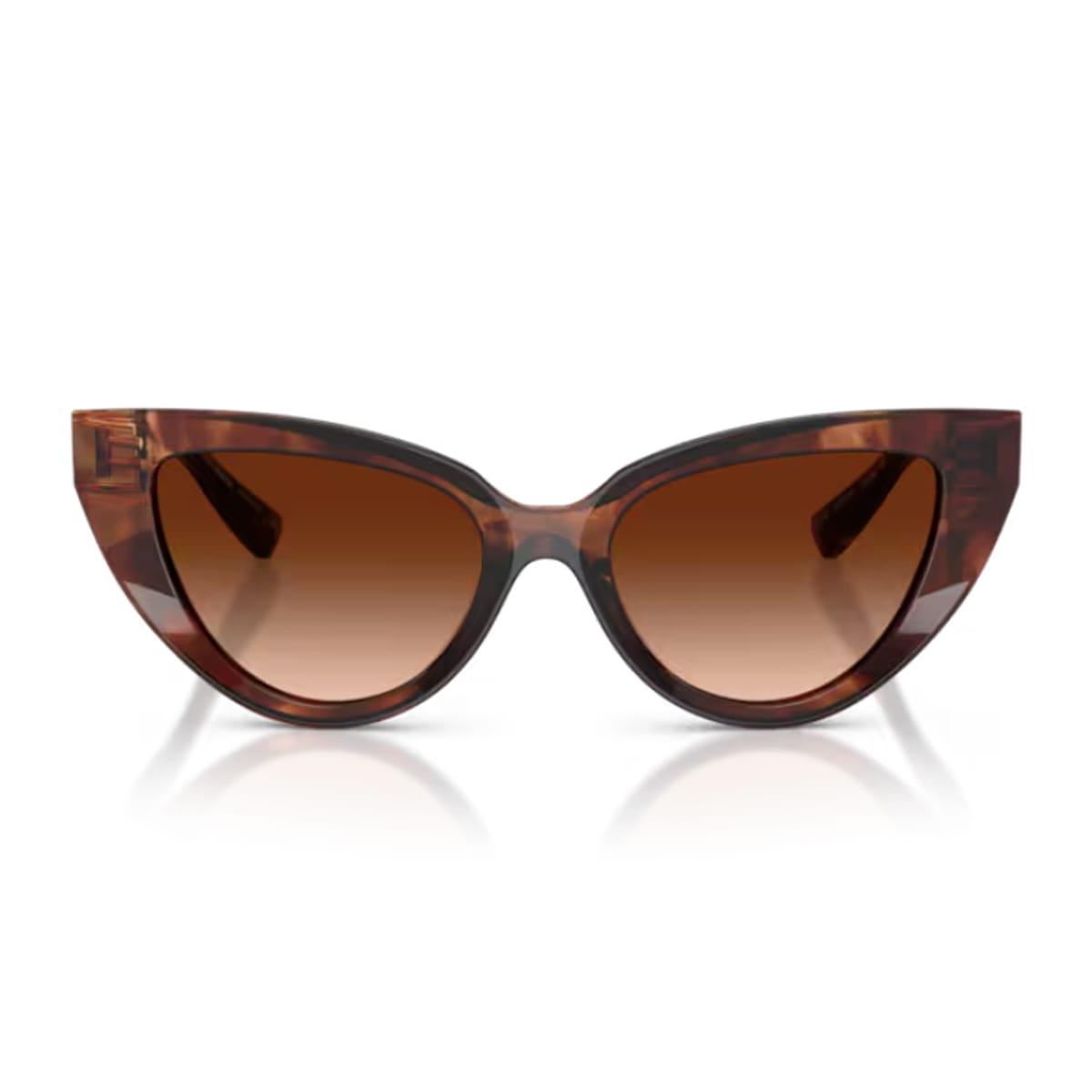 dolce & gabbana eyewear dolce & gabbana dg4497 322274 havana rosso scuro sunglasses