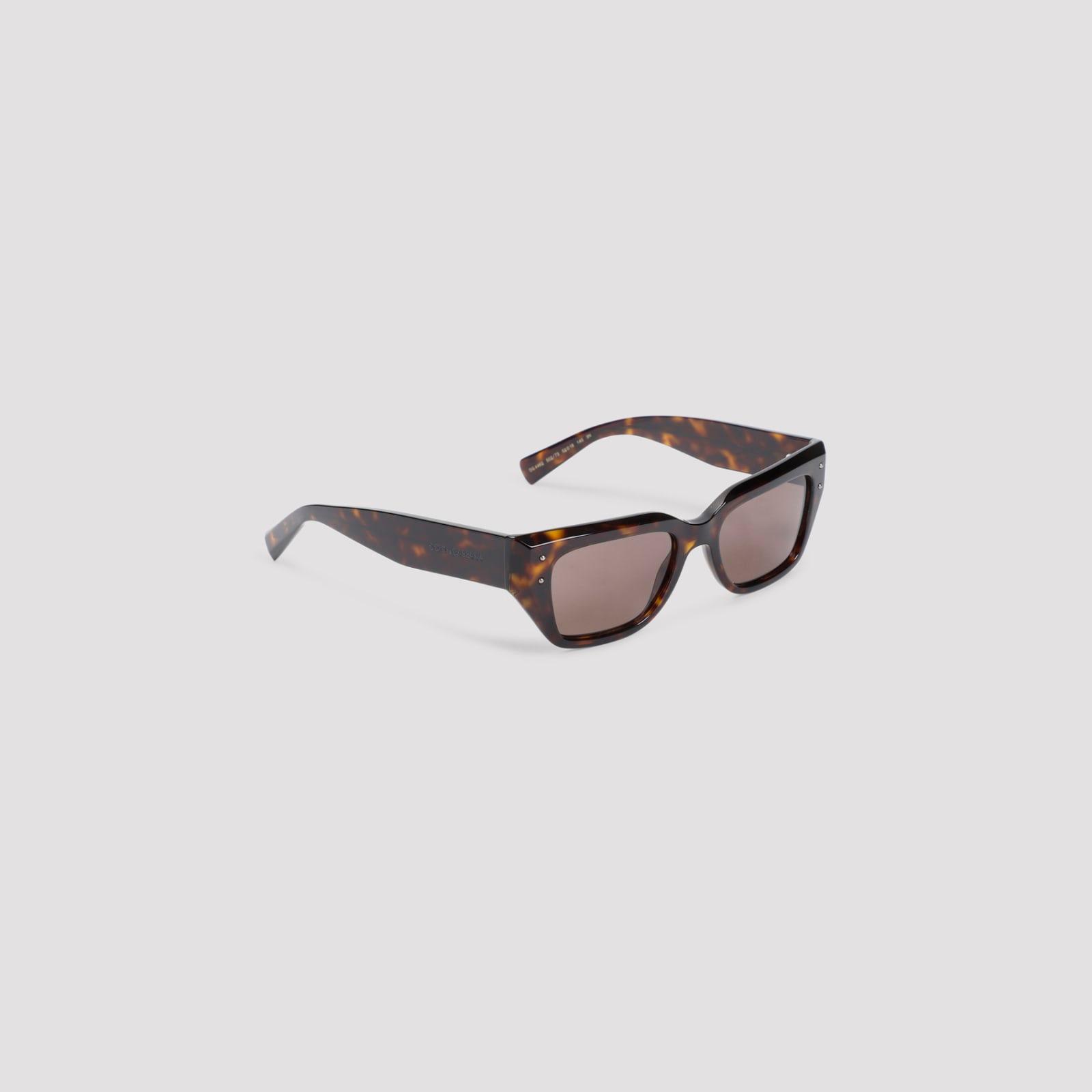 dolce & gabbana eyewear dolce & gabbana sunglasses