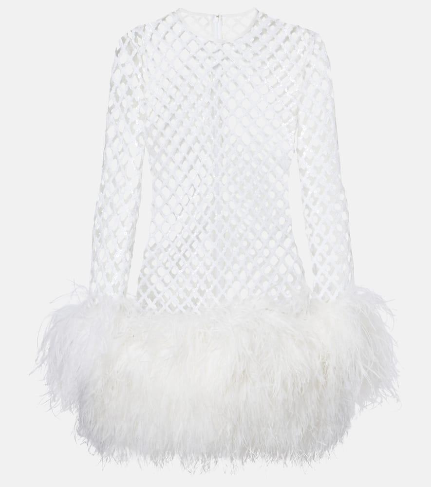 dolce & gabbana feather