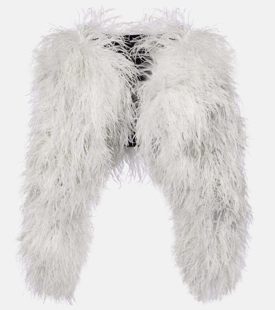 dolce & gabbana feather