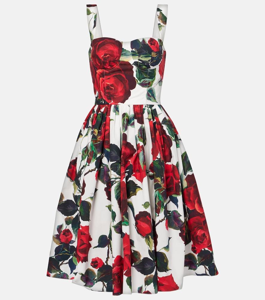 dolce & gabbana floral cotton poplin midi dress