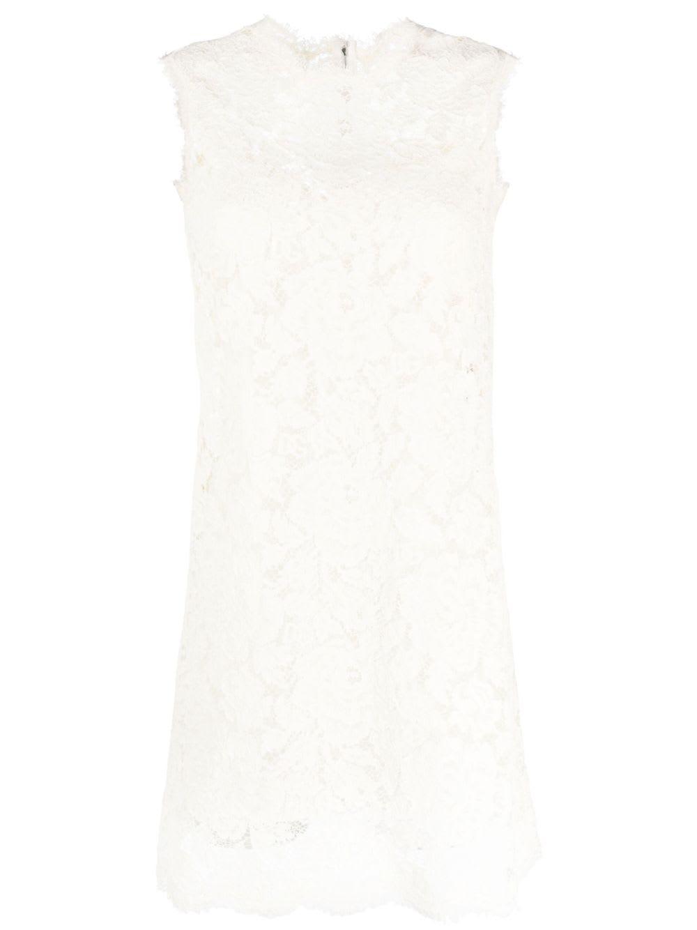 dolce & gabbana lace dress