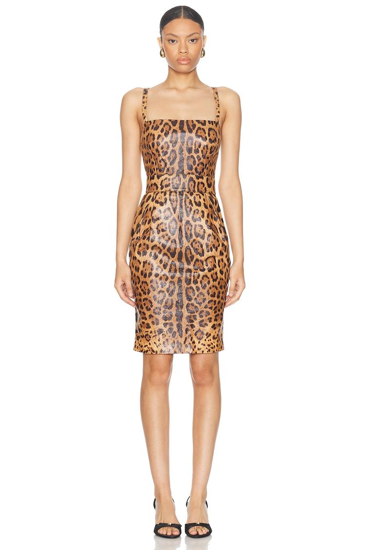 dolce & gabbana leather leopard print dress