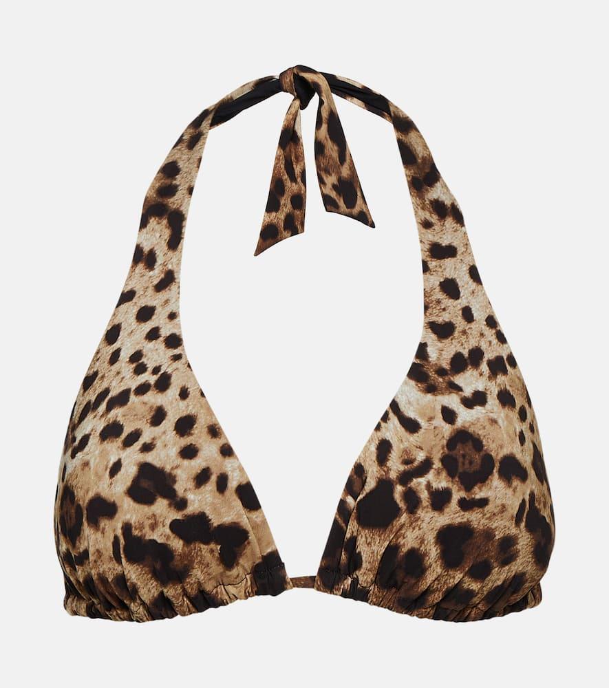 dolce & gabbana leopard
