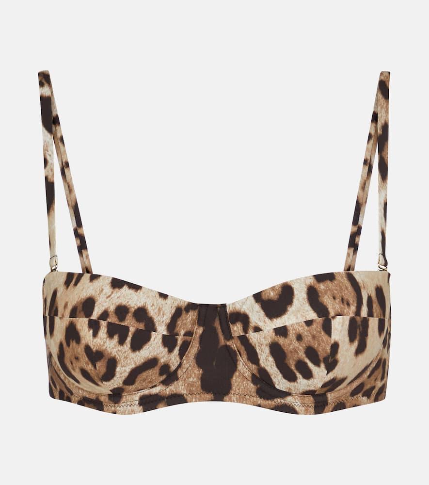 dolce & gabbana leopard