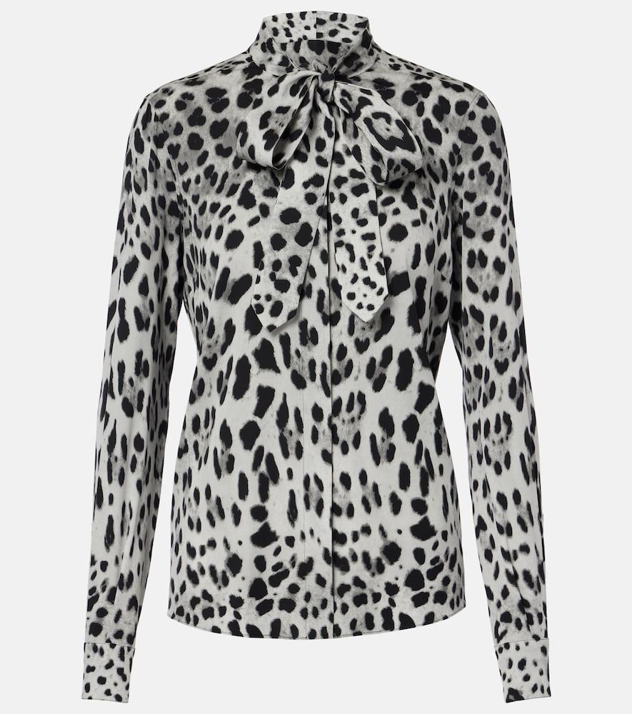 dolce & gabbana leopard