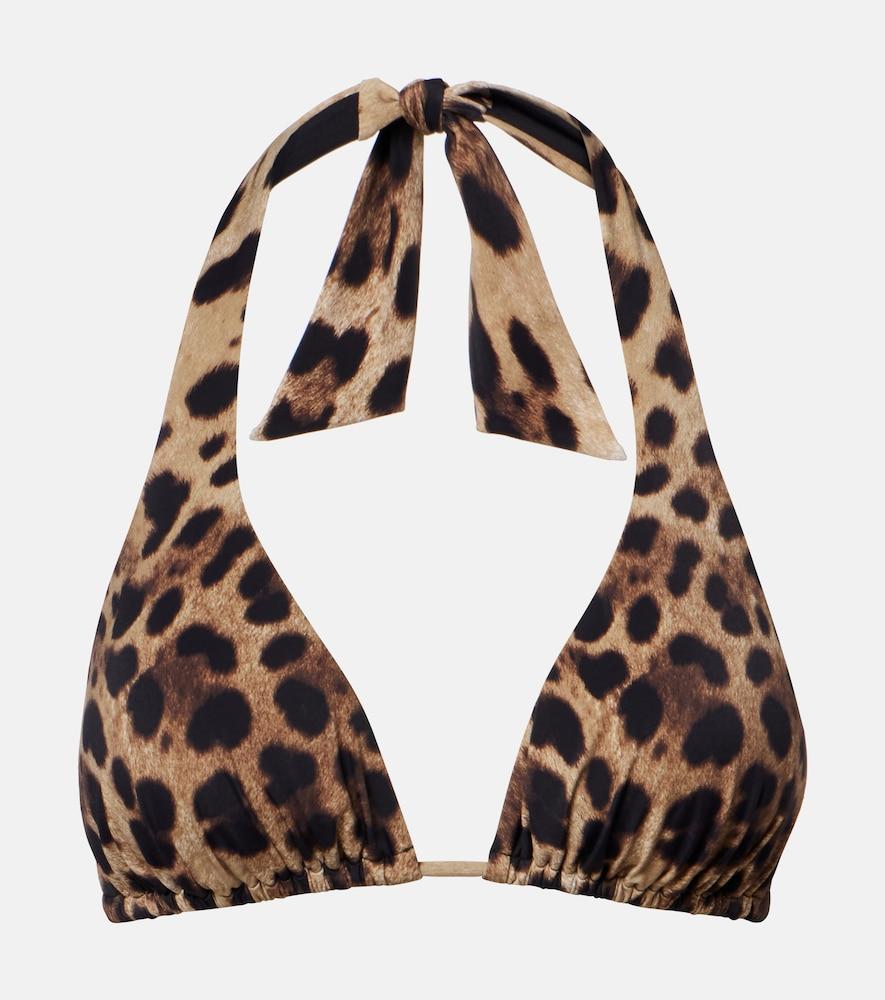 dolce & gabbana leopard