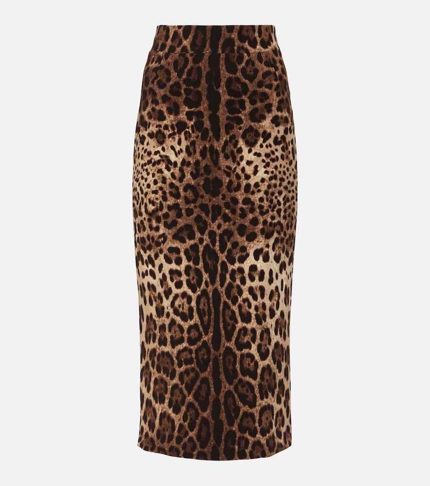 dolce & gabbana leopard