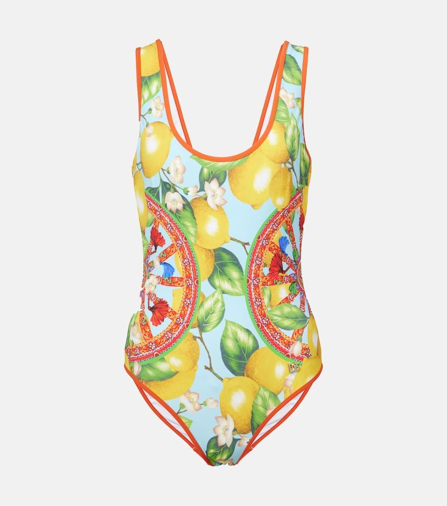 dolce & gabbana printed swimsuit
