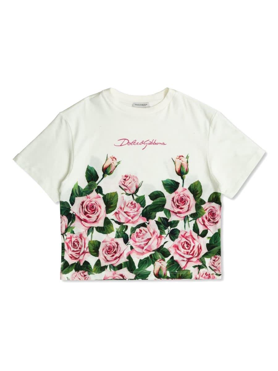 dolce & gabbana t-shirt