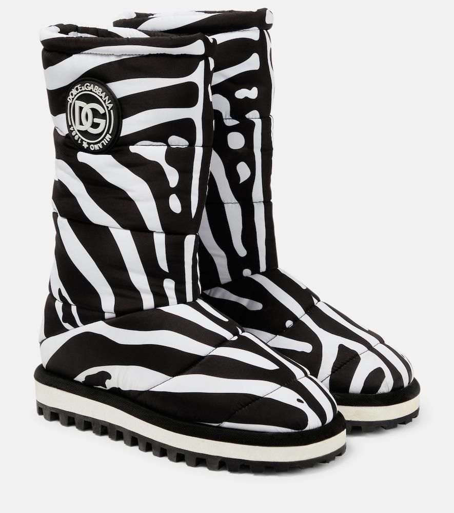 dolce & gabbana zebra
