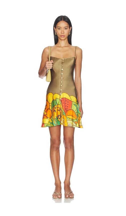 donde esteban frutas silk satin mini dress in metallic gold,orange.