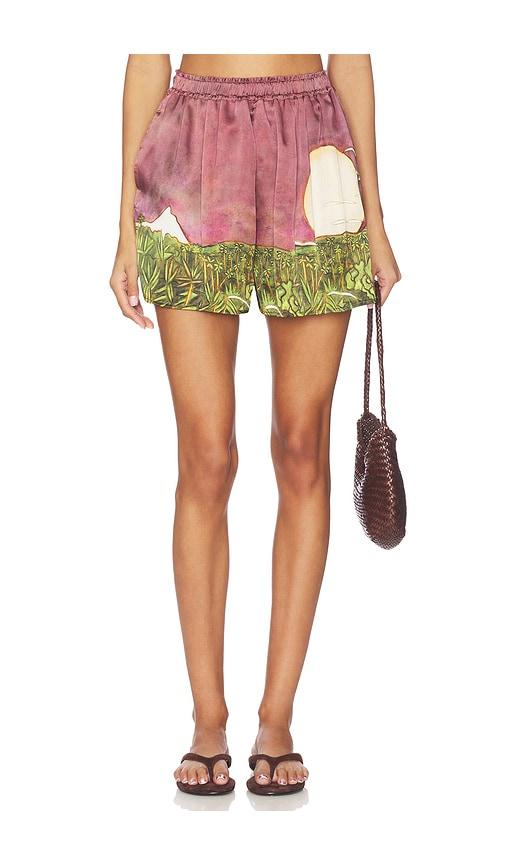donde esteban la sierra silk shorts in wine.
