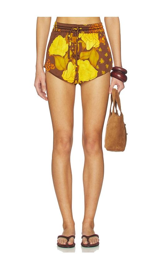 donde esteban veranera mini shorts in brown.