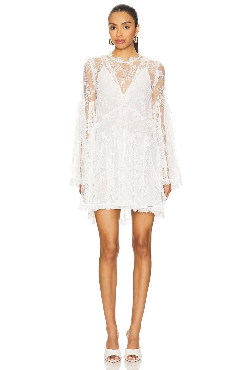 dorian lace dress