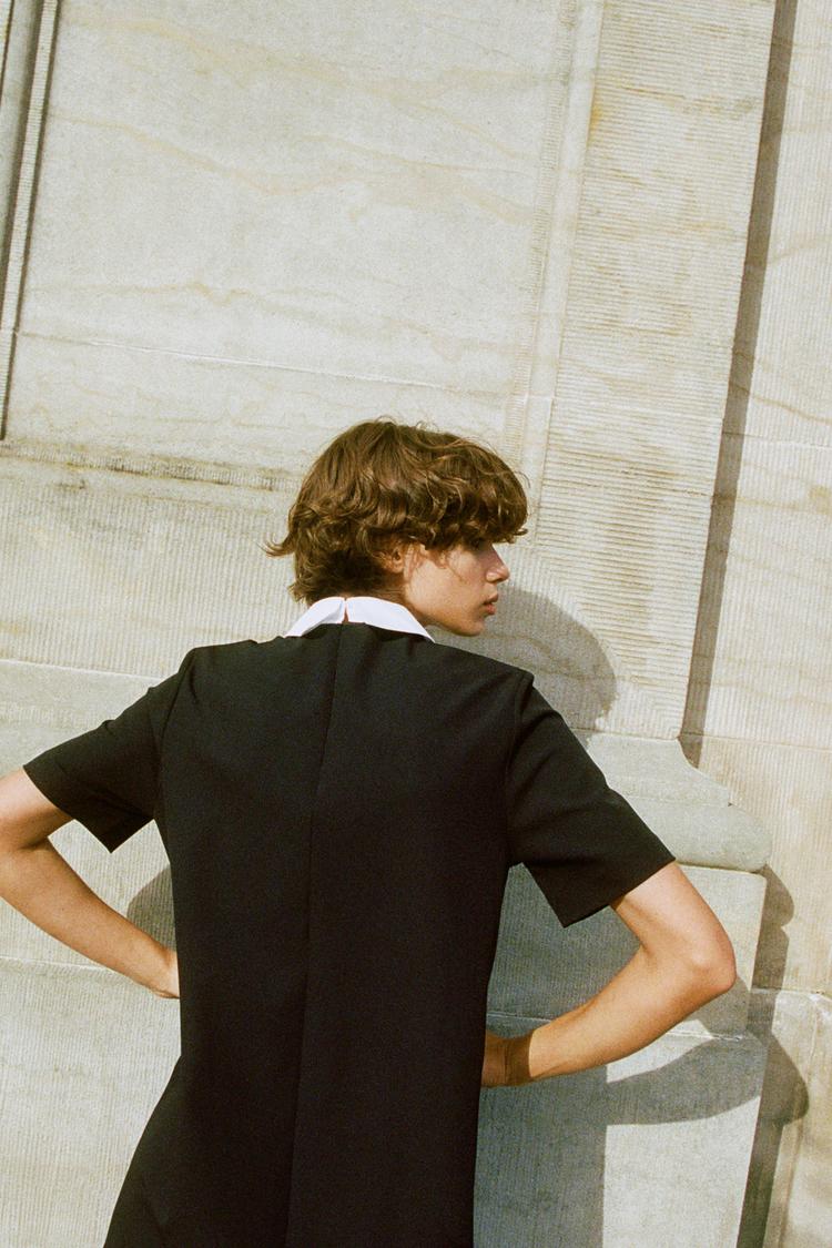 dress with collar
