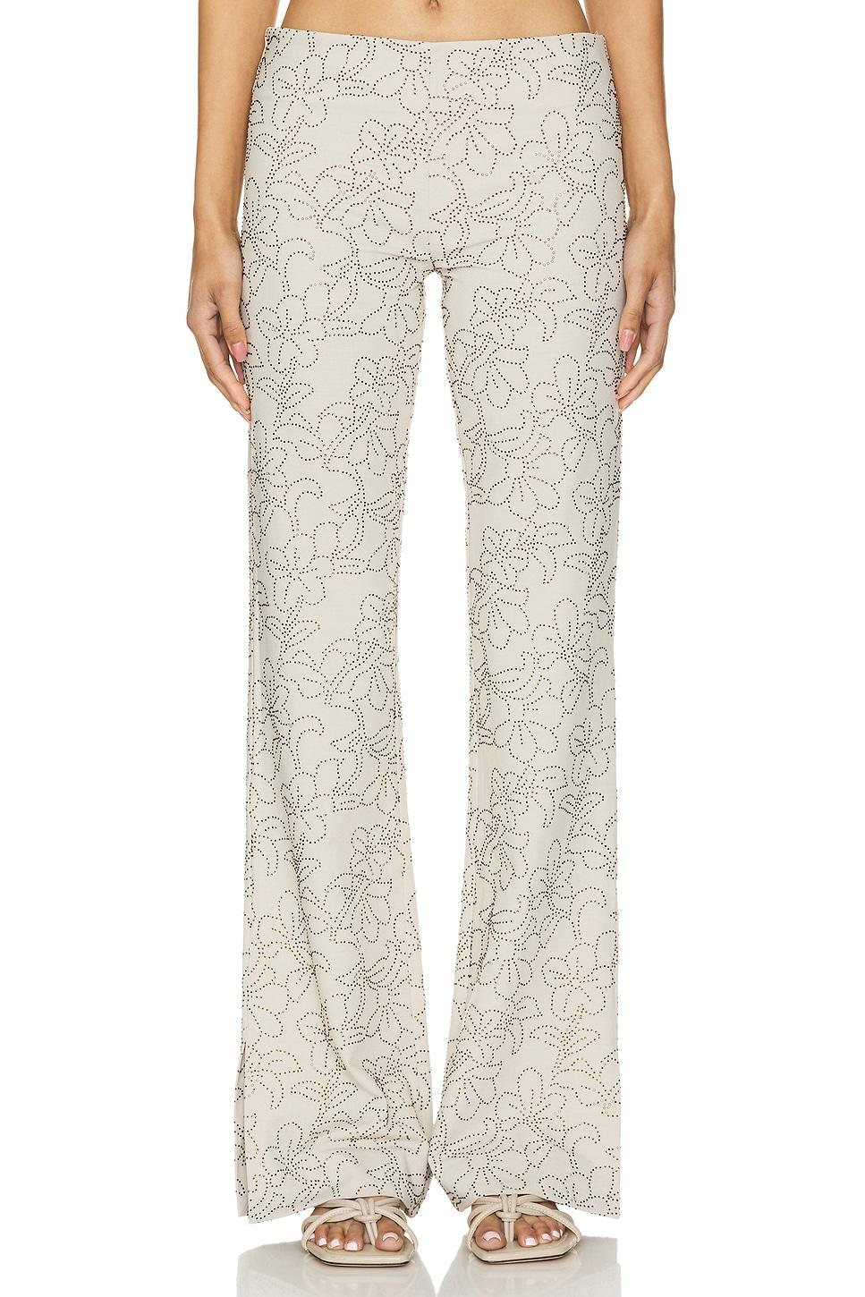 elaine pant