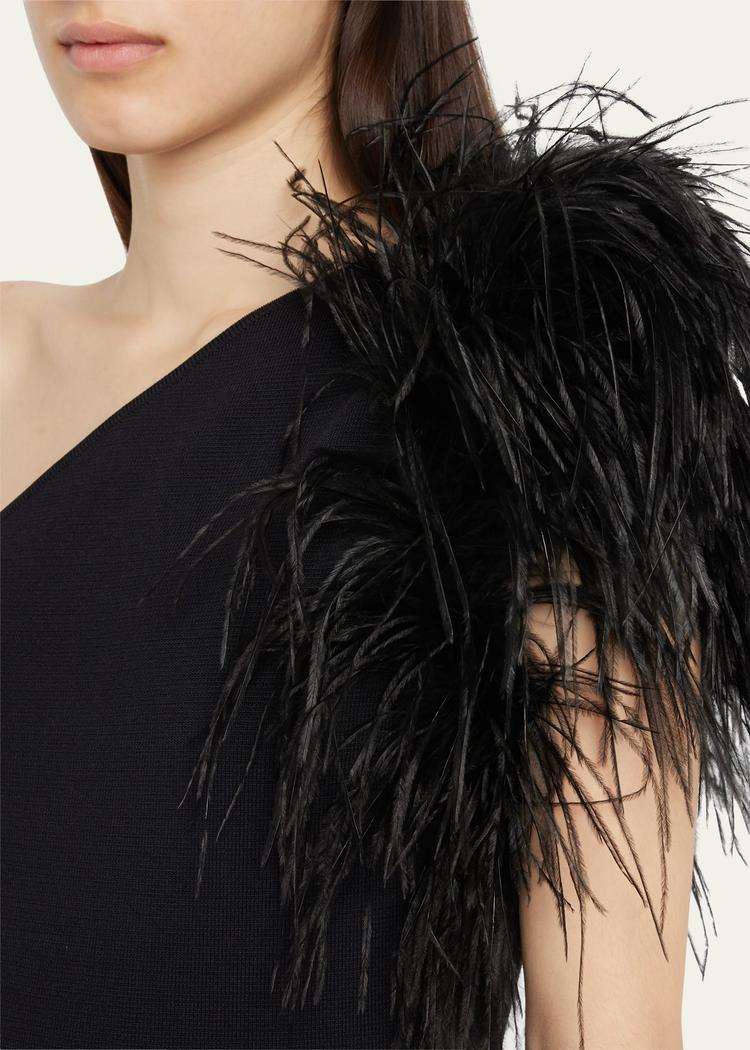 elcie one-shoulder column gown with feathers