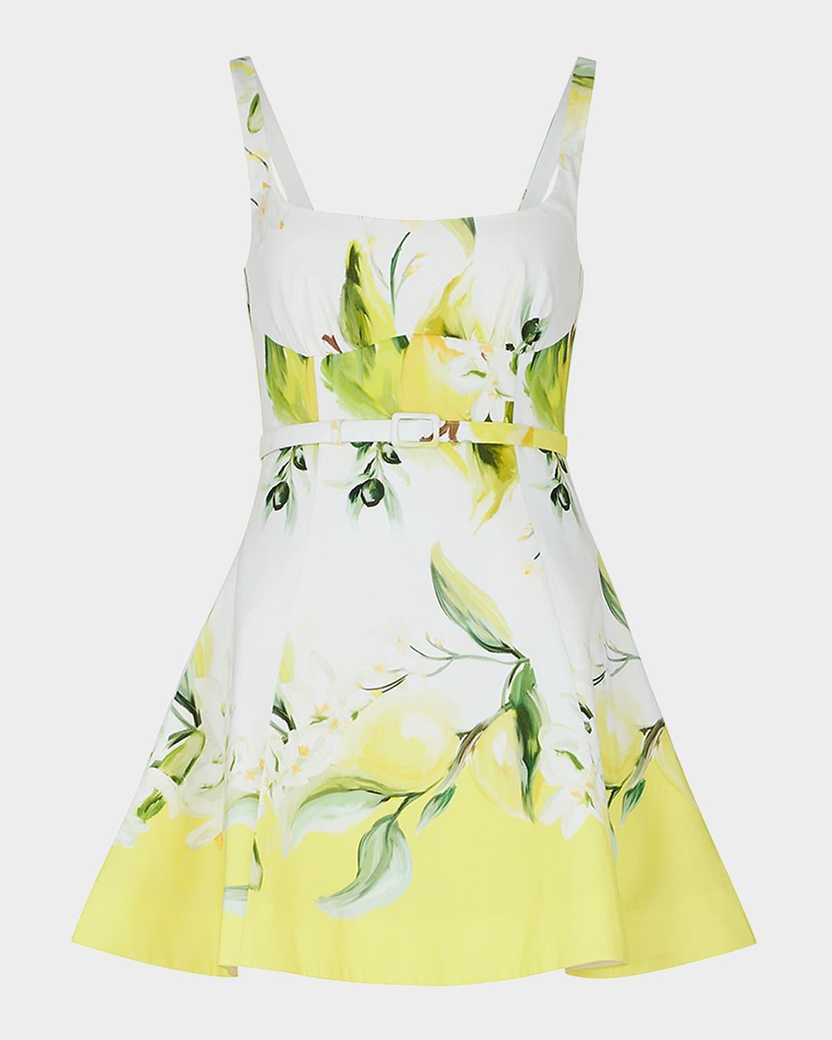 eleni paneled floral-print mini dress
