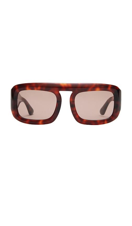elisa johnson aries sunglasses in brown.