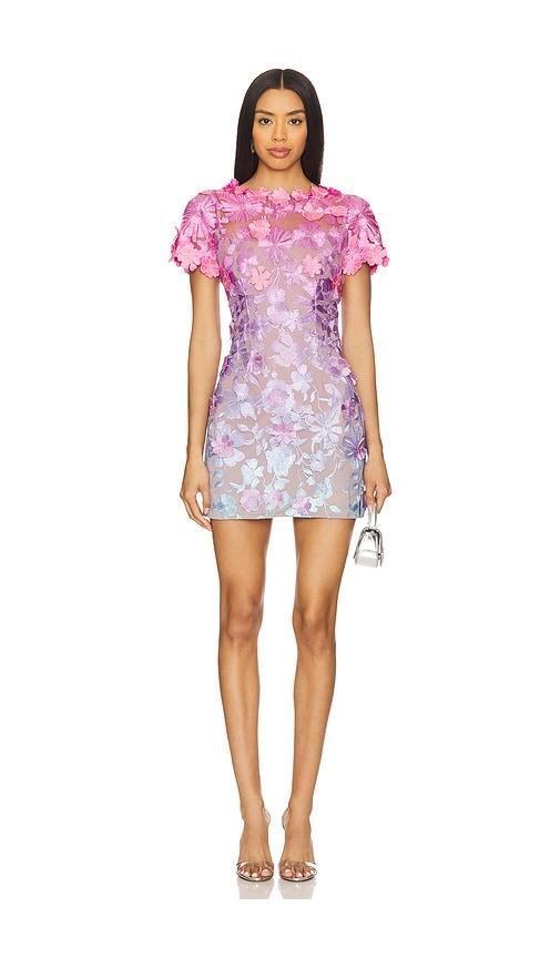 elliatt bella mini dress in lavender,fuchsia.