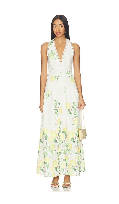 elliatt hana halter gown in neutral,yellow.