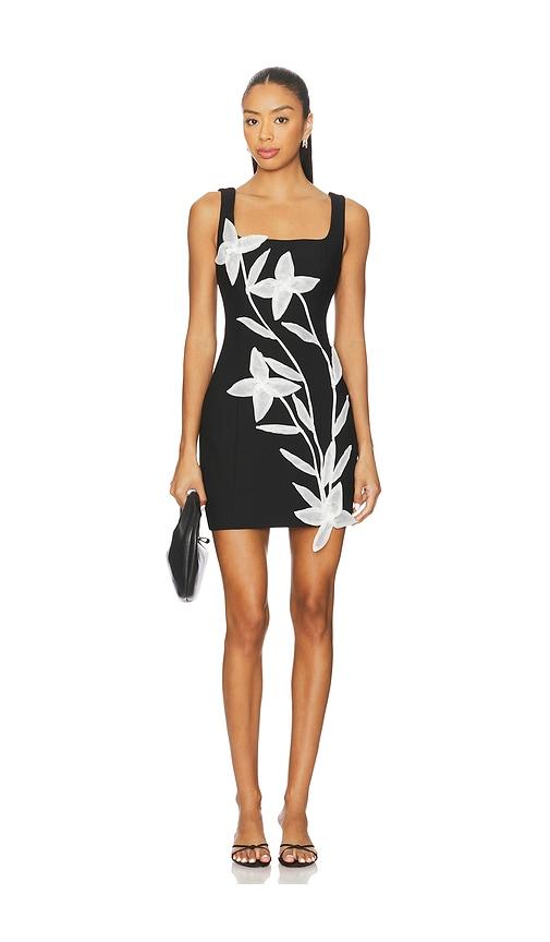 elliatt ilaria mini dress in black.