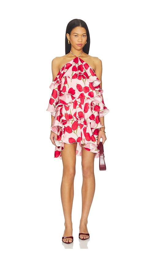 elliatt melia mini dress in pink.