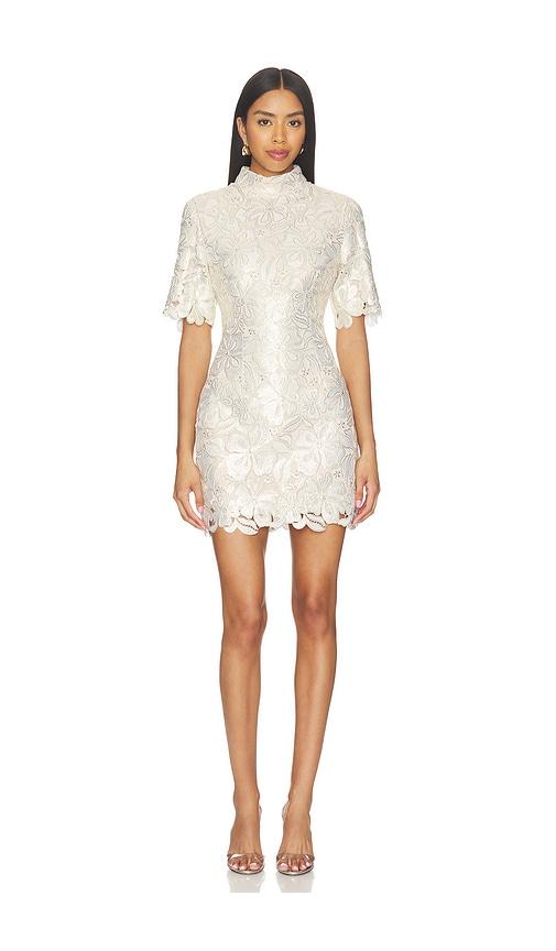 elliatt nicoletta sleeve mini dress in white,metallic gold.