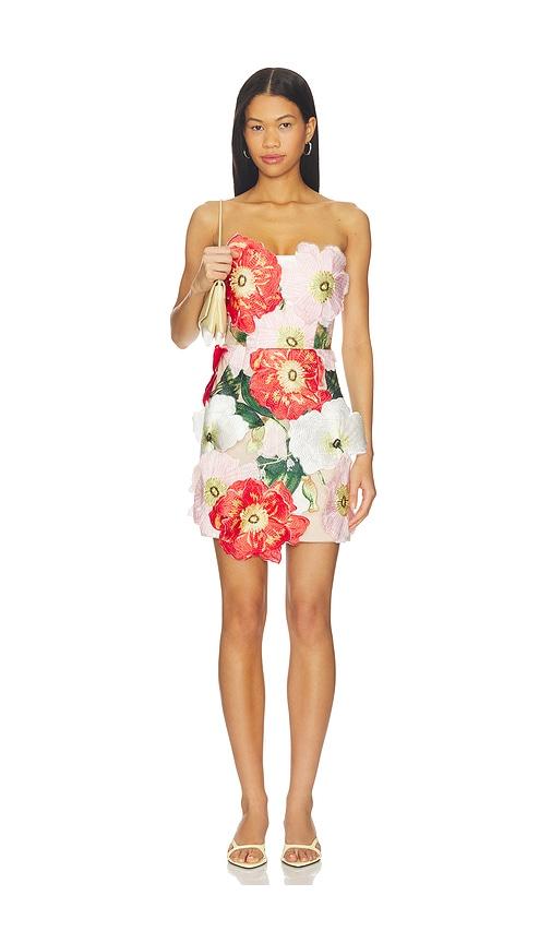 elliatt solara mini dress in pink,red.