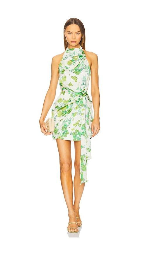 elliatt tess halter mini dress in green.