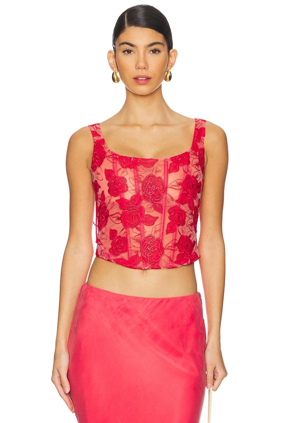 embroidered roses bustier top