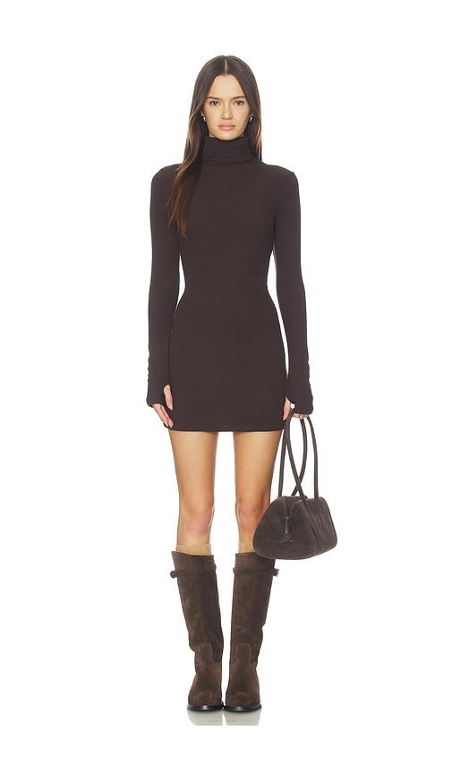 enza costa knit turtleneck tunic dress in brown.