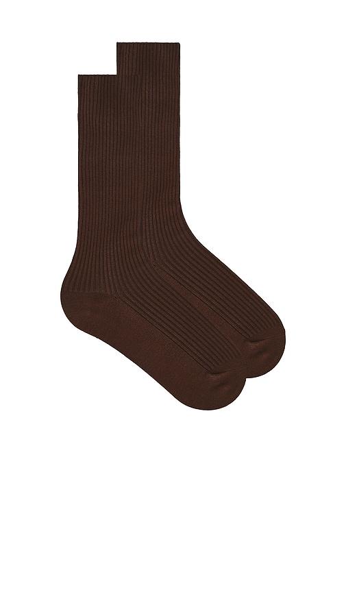 eterne classic rib socks in brown.