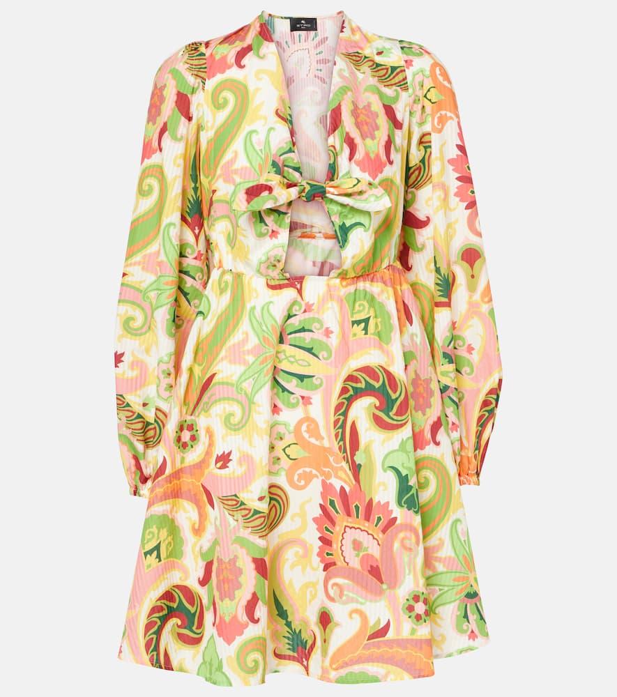 etro floral cotton and silk minidress