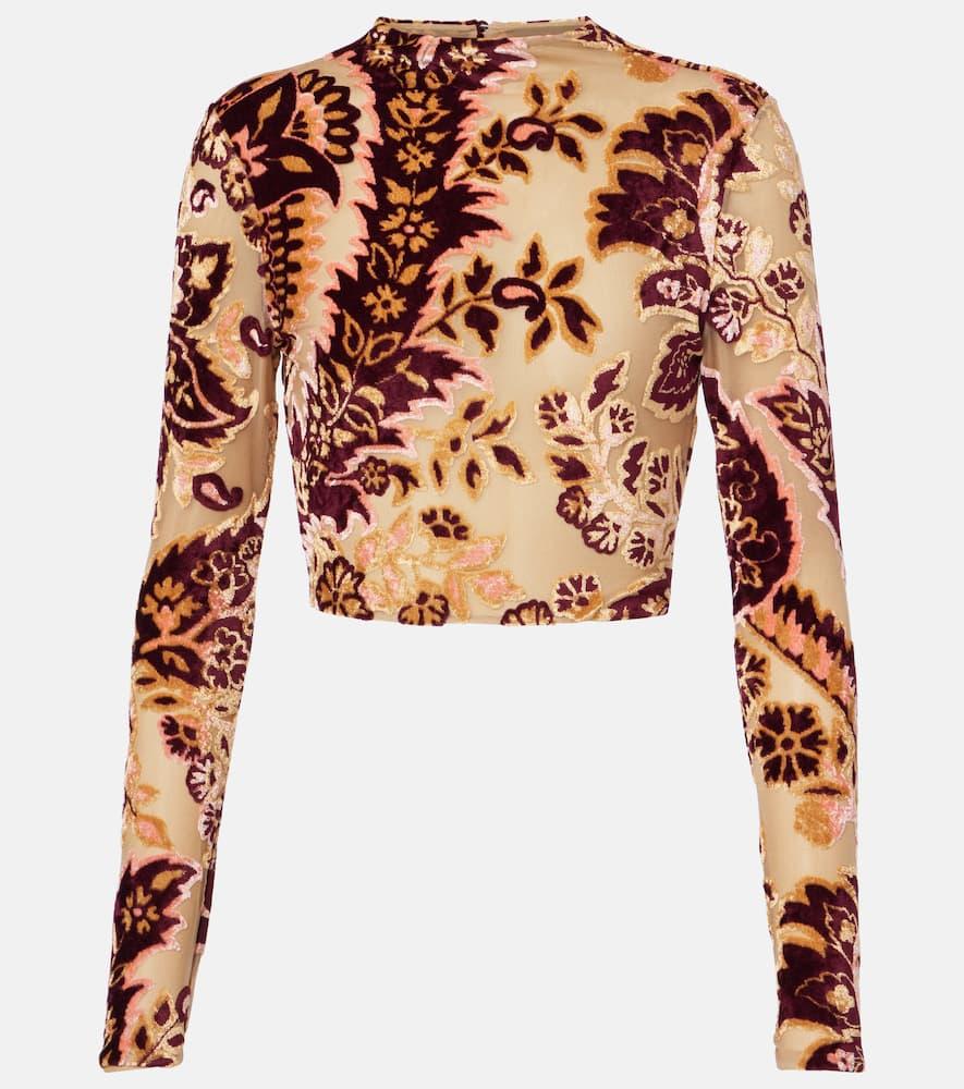 etro paisley tulle and velvet jacquard crop top