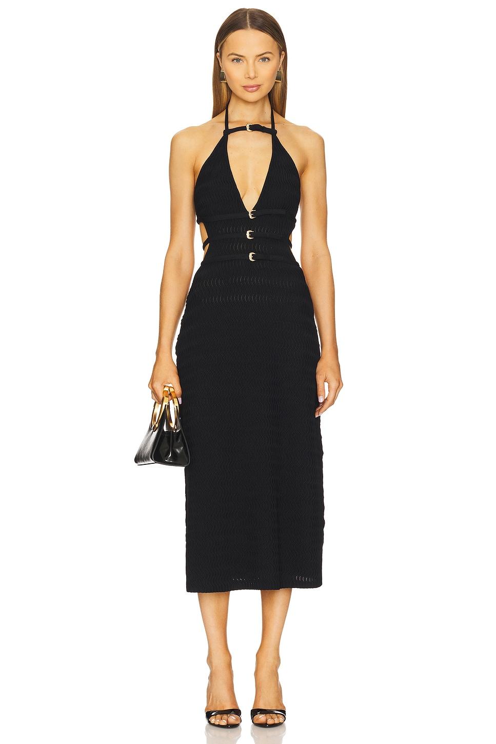 evaleigh knit dress