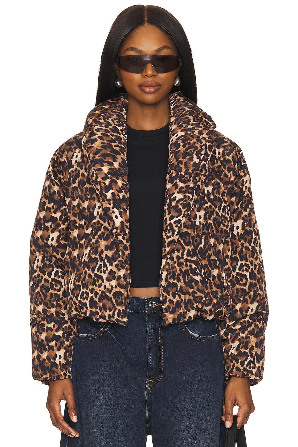 evy jacket