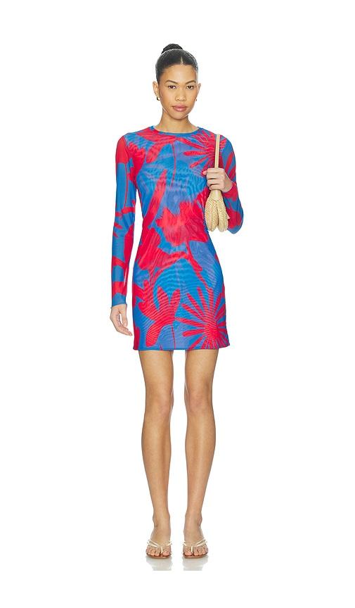 eywasouls malibu scarlet mini dress in blue,red.