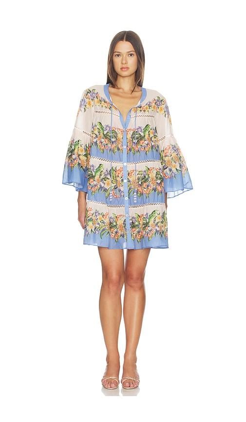 farm rio mini dress in blue,rose.