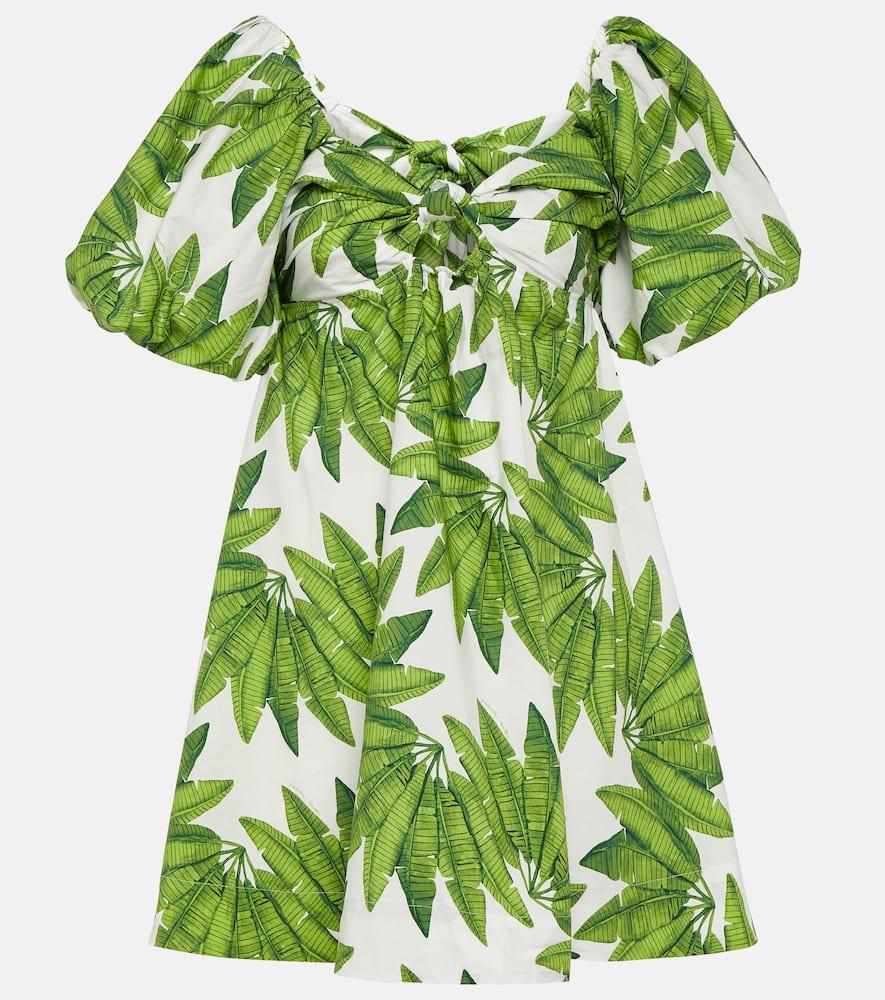 farm rio palms fan cotton minidress