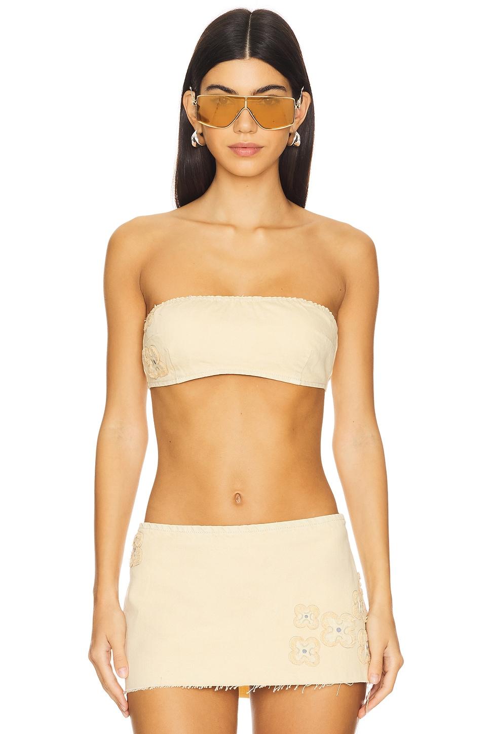 fauna bandeau