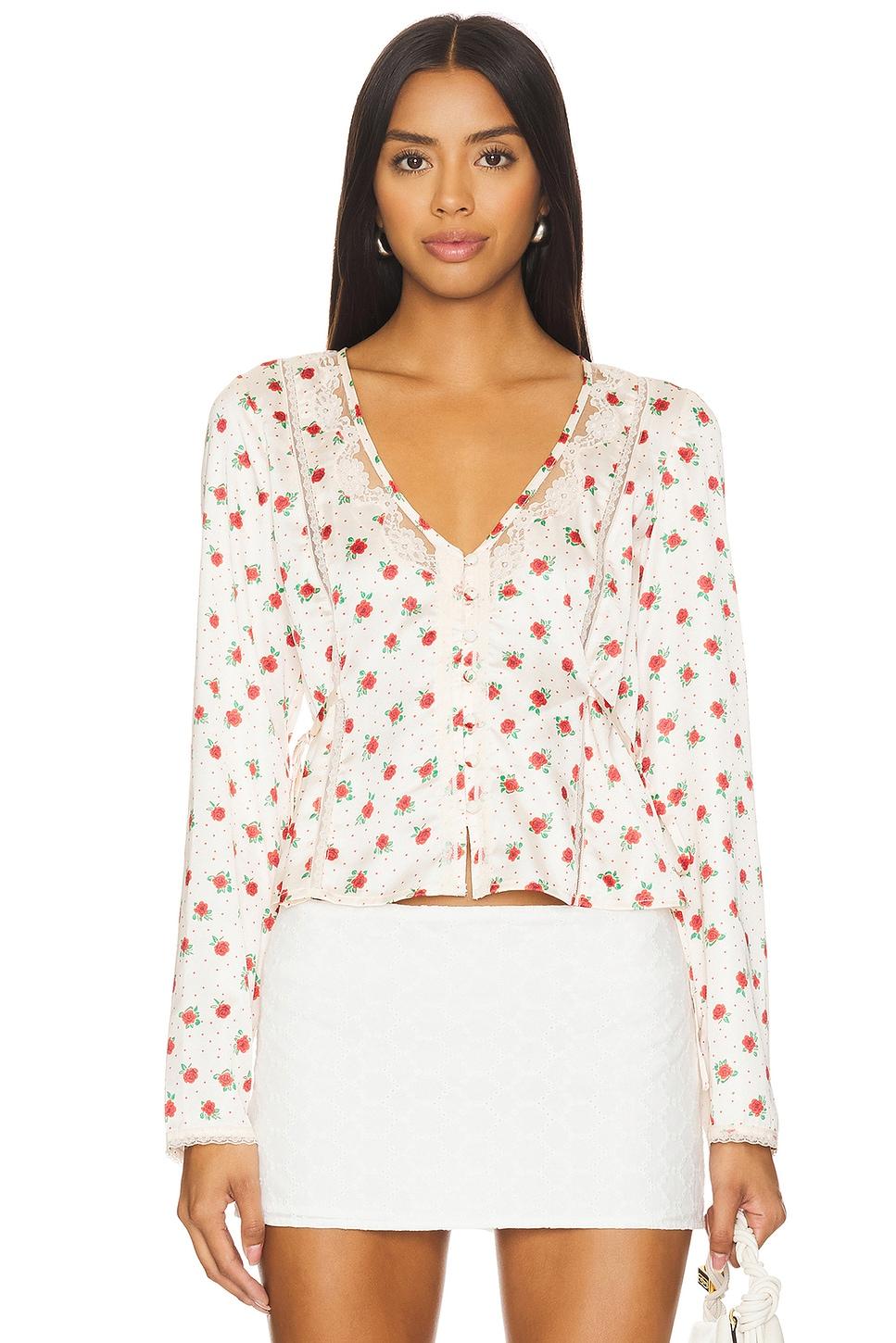 field of roses top