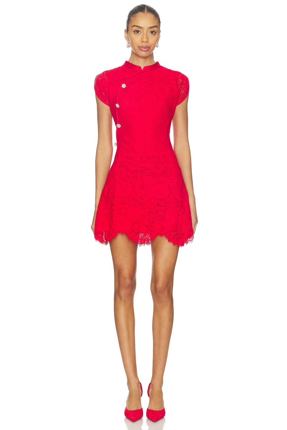 fine lace mini dress